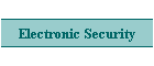 Electronic Security